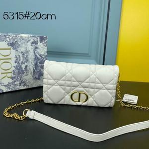 DIOR Handbags 661